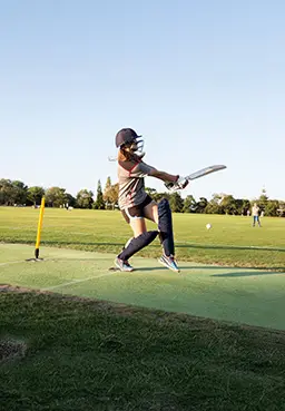 The Cricket Pitch